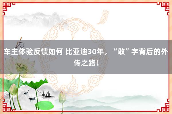 车主体验反馈如何 比亚迪30年，“敢”字背后的外传之路！