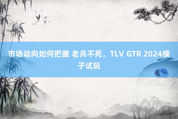 市场动向如何把握 老兵不死，TLV GTR 2024模子试玩