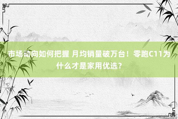 市场动向如何把握 月均销量破万台！零跑C11为什么才是家用优选？