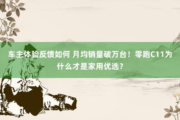 车主体验反馈如何 月均销量破万台！零跑C11为什么才是家用优选？