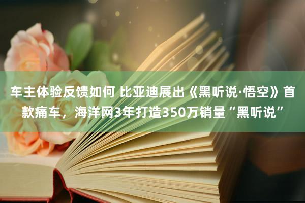 车主体验反馈如何 比亚迪展出《黑听说·悟空》首款痛车，海洋网3年打造350万销量“黑听说”