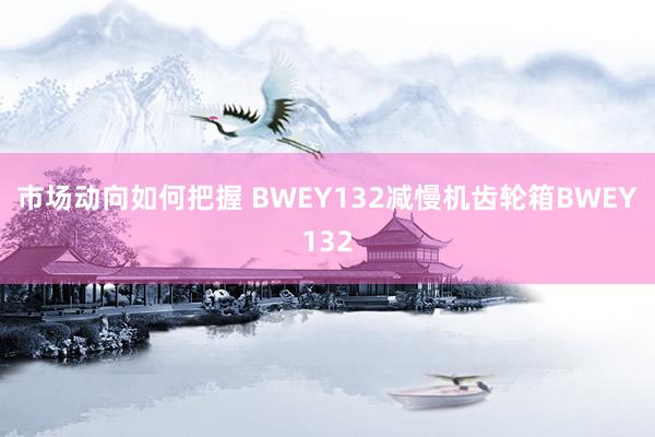 市场动向如何把握 BWEY132减慢机齿轮箱BWEY132