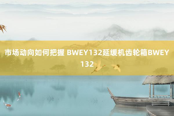 市场动向如何把握 BWEY132延缓机齿轮箱BWEY132