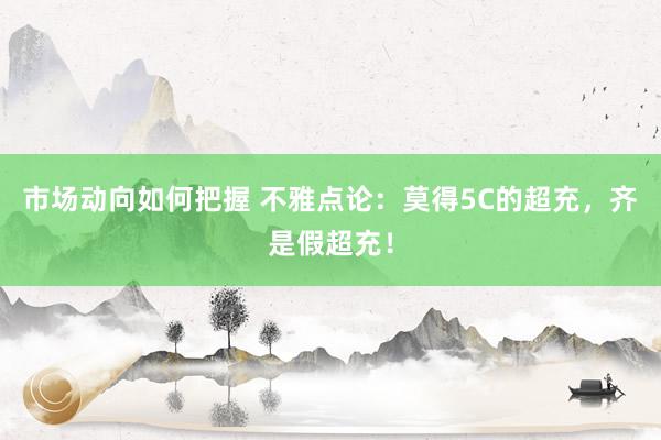 市场动向如何把握 不雅点论：莫得5C的超充，齐是假超充！