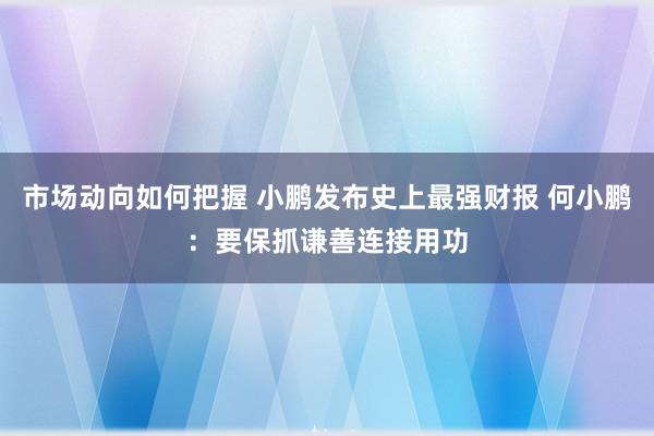 市场动向如何把握 小鹏发布史上最强财报 何小鹏：要保抓谦善连接用功