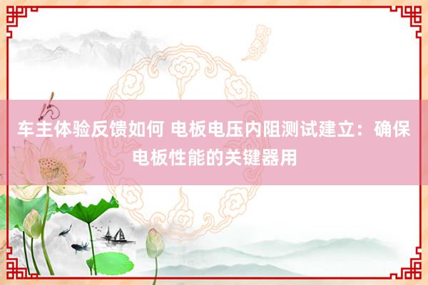 车主体验反馈如何 电板电压内阻测试建立：确保电板性能的关键器用