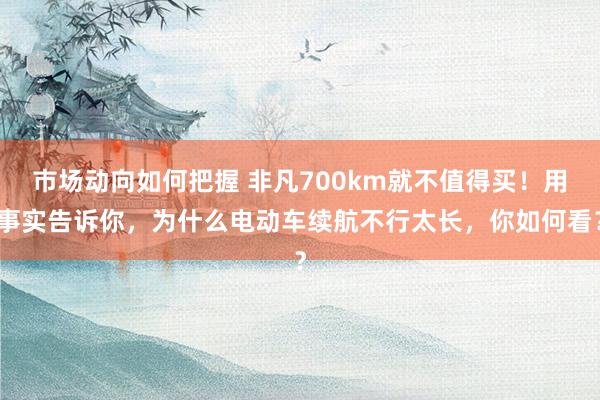 市场动向如何把握 非凡700km就不值得买！用事实告诉你，为什么电动车续航不行太长，你如何看？