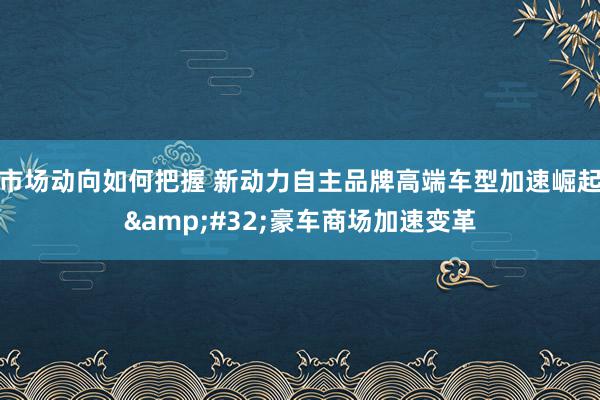 市场动向如何把握 新动力自主品牌高端车型加速崛起&#32;豪车商场加速变革