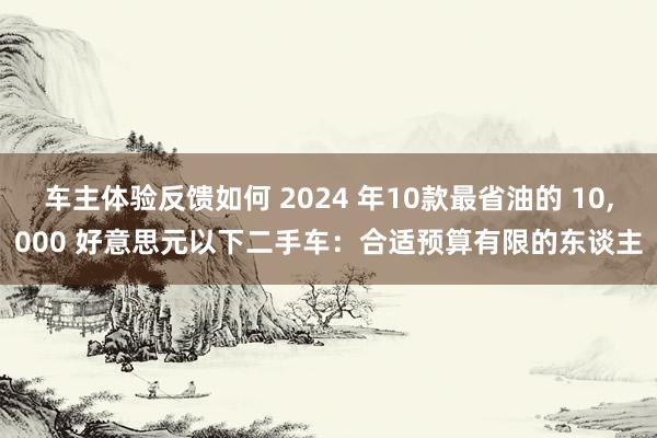 车主体验反馈如何 2024 年10款最省油的 10,000 好意思元以下二手车：合适预算有限的东谈主