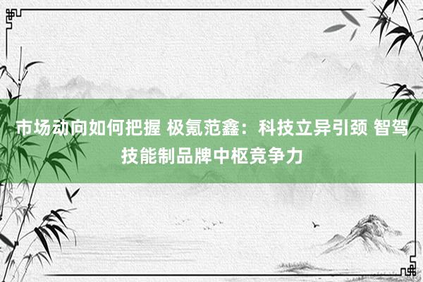 市场动向如何把握 极氪范鑫：科技立异引颈 智驾技能制品牌中枢竞争力