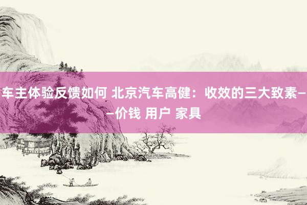 车主体验反馈如何 北京汽车高健：收效的三大致素——价钱 用户 家具