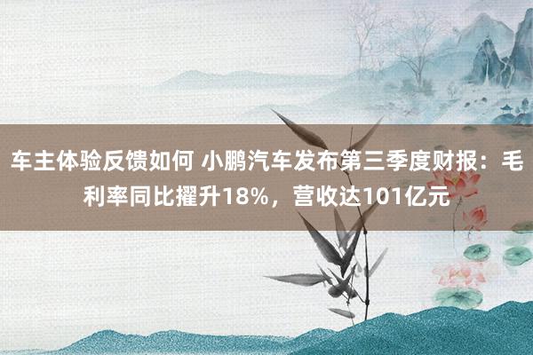 车主体验反馈如何 小鹏汽车发布第三季度财报：毛利率同比擢升18%，营收达101亿元