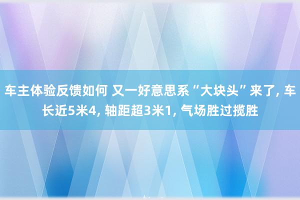 车主体验反馈如何 又一好意思系“大块头”来了, 车长近5米4, 轴距超3米1, 气场胜过揽胜