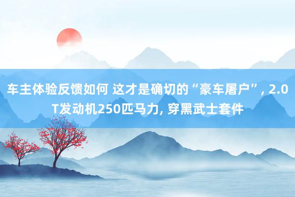 车主体验反馈如何 这才是确切的“豪车屠户”, 2.0T发动机250匹马力, 穿黑武士套件