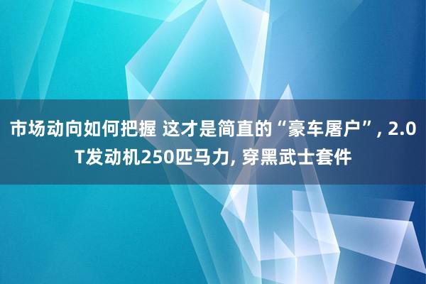 市场动向如何把握 这才是简直的“豪车屠户”, 2.0T发动机250匹马力, 穿黑武士套件