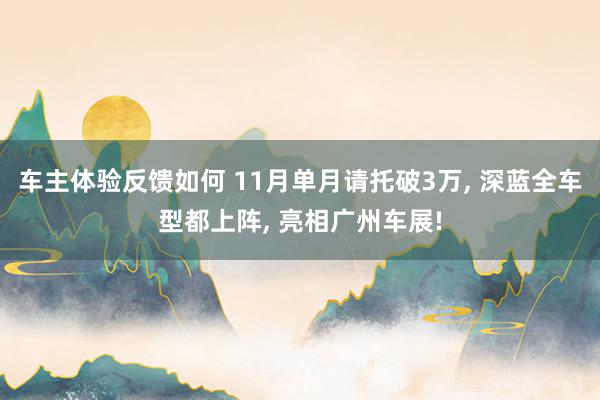 车主体验反馈如何 11月单月请托破3万, 深蓝全车型都上阵, 亮相广州车展!