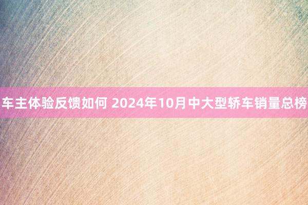 车主体验反馈如何 2024年10月中大型轿车销量总榜