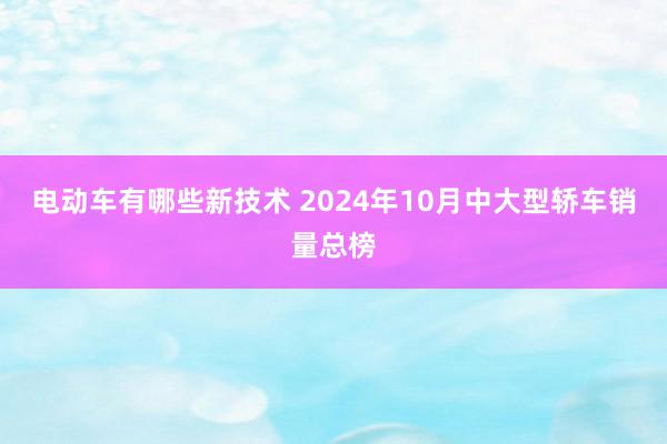 电动车有哪些新技术 2024年10月中大型轿车销量总榜