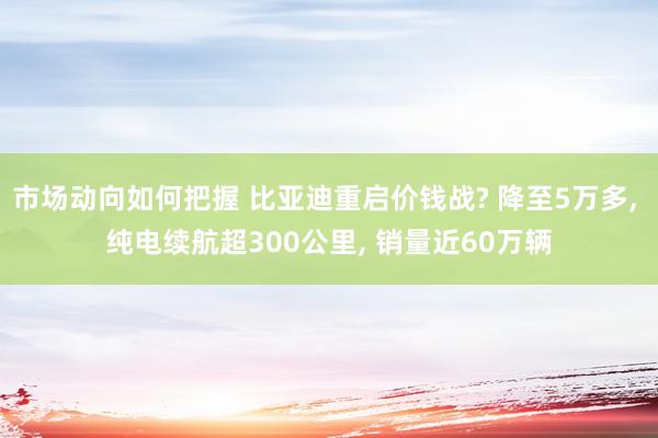 市场动向如何把握 比亚迪重启价钱战? 降至5万多, 纯电续航超300公里, 销量近60万辆