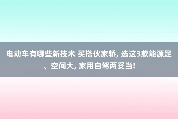 电动车有哪些新技术 买搭伙家轿, 选这3款能源足、空间大, 家用自驾两妥当!