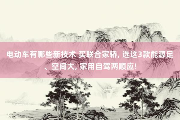 电动车有哪些新技术 买联合家轿, 选这3款能源足、空间大, 家用自驾两顺应!