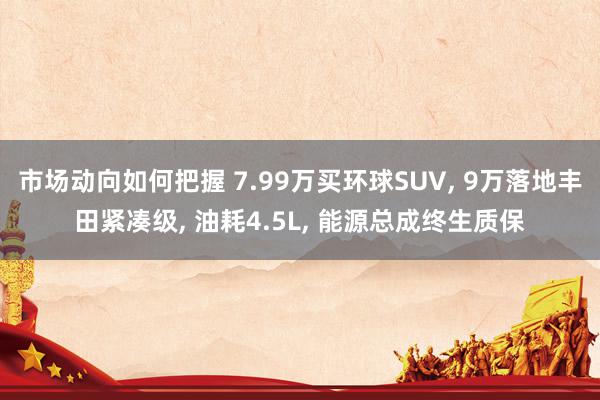 市场动向如何把握 7.99万买环球SUV, 9万落地丰田紧凑级, 油耗4.5L, 能源总成终生质保