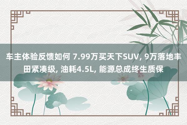 车主体验反馈如何 7.99万买天下SUV, 9万落地丰田紧凑级, 油耗4.5L, 能源总成终生质保