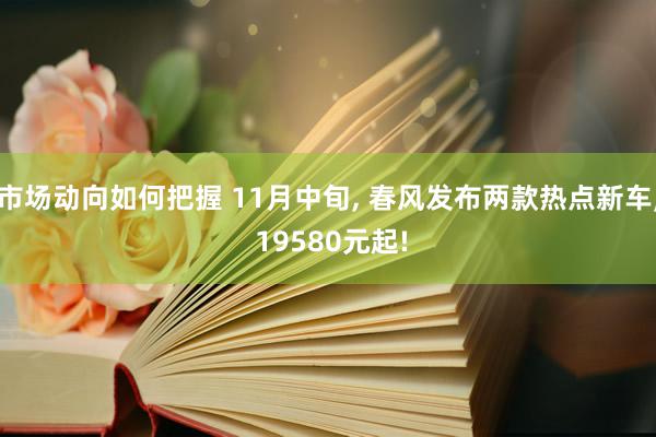 市场动向如何把握 11月中旬, 春风发布两款热点新车, 19580元起!