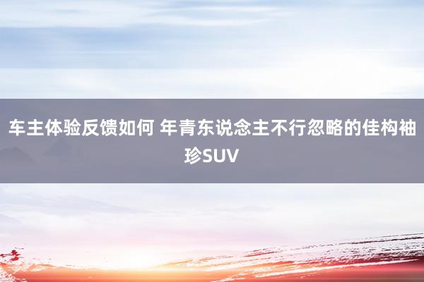 车主体验反馈如何 年青东说念主不行忽略的佳构袖珍SUV