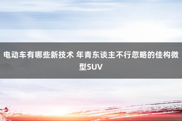 电动车有哪些新技术 年青东谈主不行忽略的佳构微型SUV