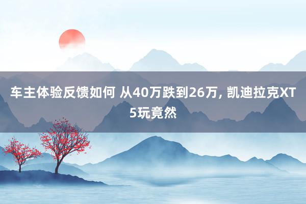 车主体验反馈如何 从40万跌到26万, 凯迪拉克XT5玩竟然