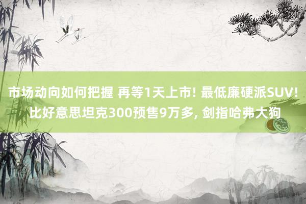 市场动向如何把握 再等1天上市! 最低廉硬派SUV! 比好意思坦克300预售9万多, 剑指哈弗大狗