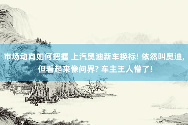 市场动向如何把握 上汽奥迪新车换标! 依然叫奥迪, 但看起来像问界? 车主王人懵了!