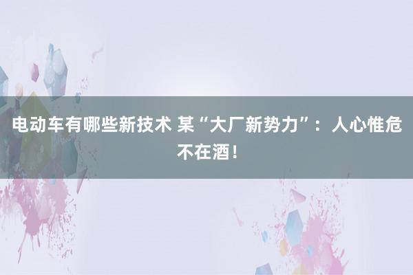 电动车有哪些新技术 某“大厂新势力”：人心惟危不在酒！