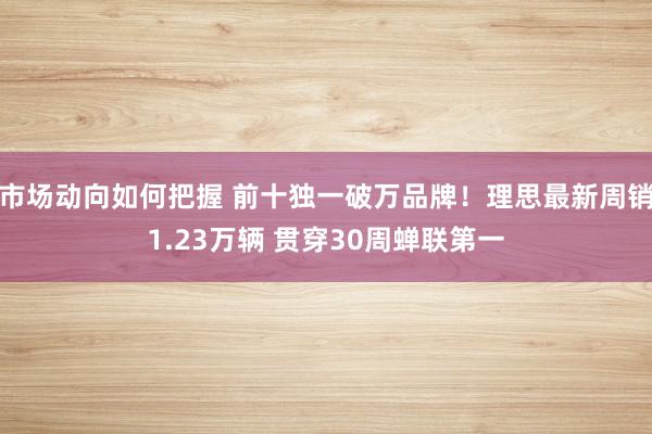 市场动向如何把握 前十独一破万品牌！理思最新周销1.23万辆 贯穿30周蝉联第一