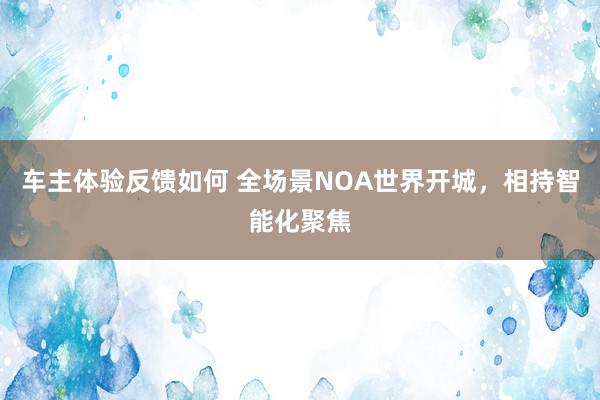 车主体验反馈如何 全场景NOA世界开城，相持智能化聚焦