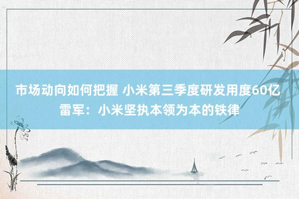 市场动向如何把握 小米第三季度研发用度60亿 雷军：小米坚执本领为本的铁律