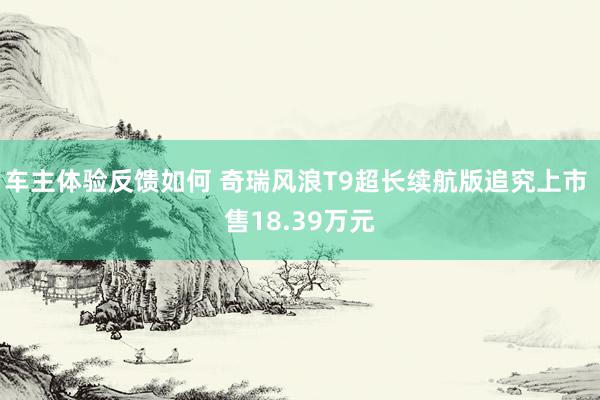 车主体验反馈如何 奇瑞风浪T9超长续航版追究上市 售18.39万元