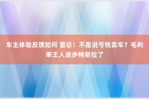 车主体验反馈如何 雷总！不是说亏钱卖车？毛利率王人进步特斯拉了