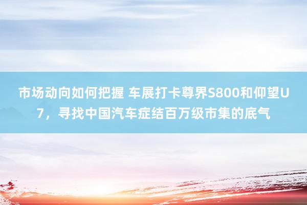 市场动向如何把握 车展打卡尊界S800和仰望U7，寻找中国汽车症结百万级市集的底气