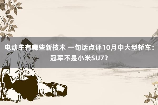 电动车有哪些新技术 一句话点评10月中大型轿车：冠军不是小米SU7？