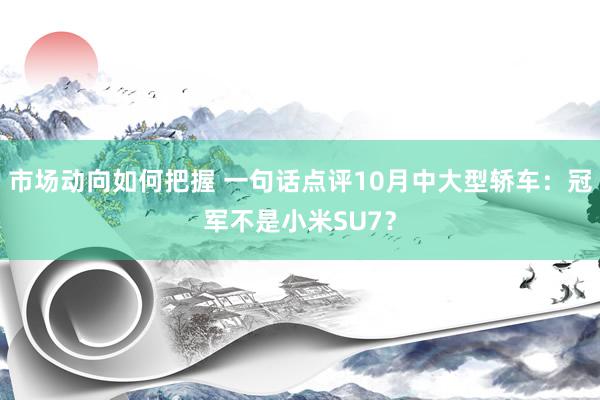 市场动向如何把握 一句话点评10月中大型轿车：冠军不是小米SU7？