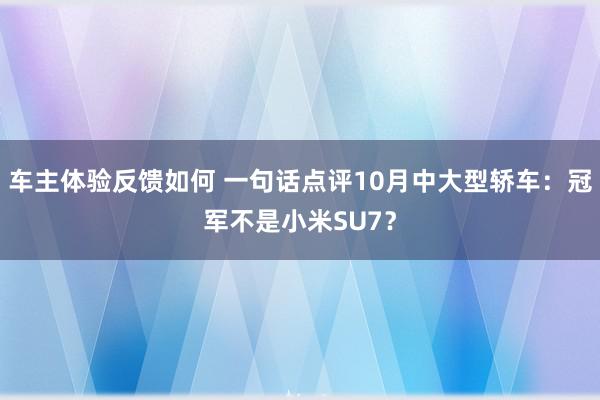 车主体验反馈如何 一句话点评10月中大型轿车：冠军不是小米SU7？