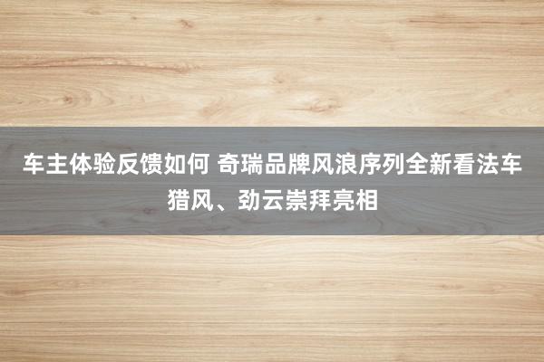 车主体验反馈如何 奇瑞品牌风浪序列全新看法车猎风、劲云崇拜亮相