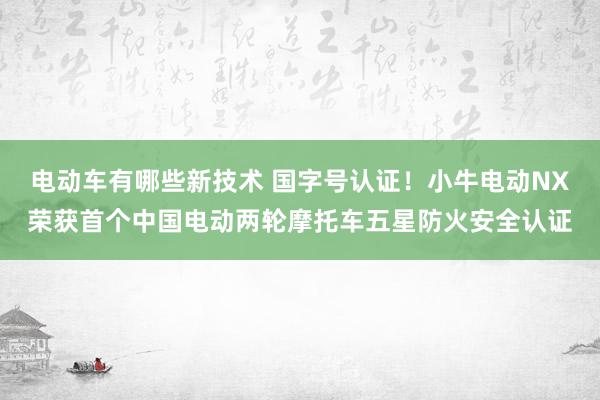 电动车有哪些新技术 国字号认证！小牛电动NX荣获首个中国电动两轮摩托车五星防火安全认证