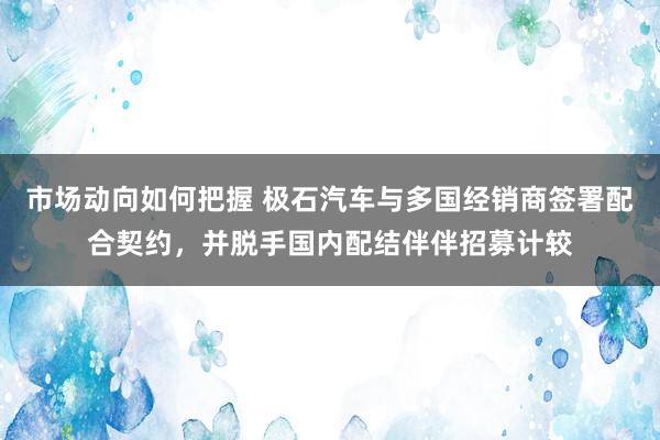 市场动向如何把握 极石汽车与多国经销商签署配合契约，并脱手国内配结伴伴招募计较