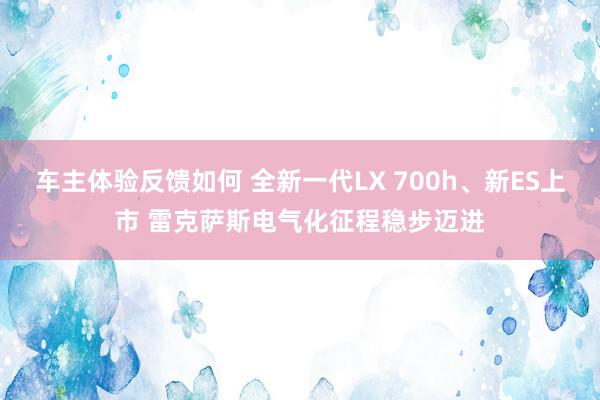 车主体验反馈如何 全新一代LX 700h、新ES上市 雷克萨斯电气化征程稳步迈进