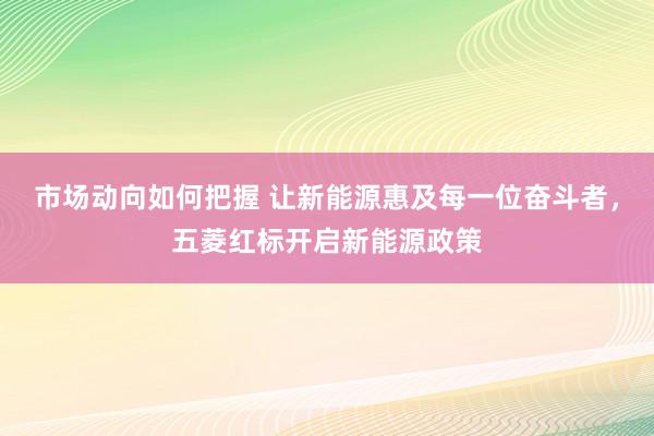 市场动向如何把握 让新能源惠及每一位奋斗者，五菱红标开启新能源政策