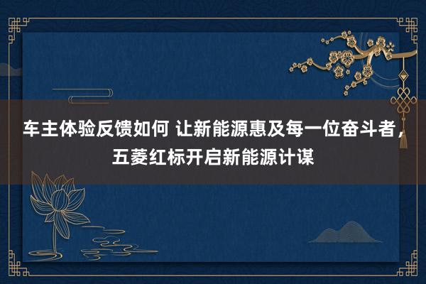 车主体验反馈如何 让新能源惠及每一位奋斗者，五菱红标开启新能源计谋