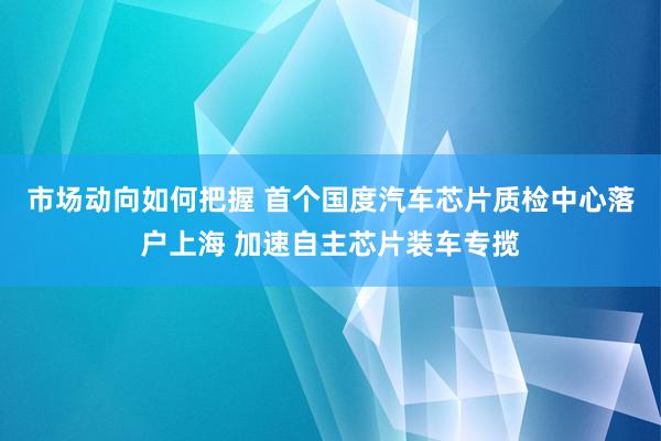 市场动向如何把握 首个国度汽车芯片质检中心落户上海 加速自主芯片装车专揽